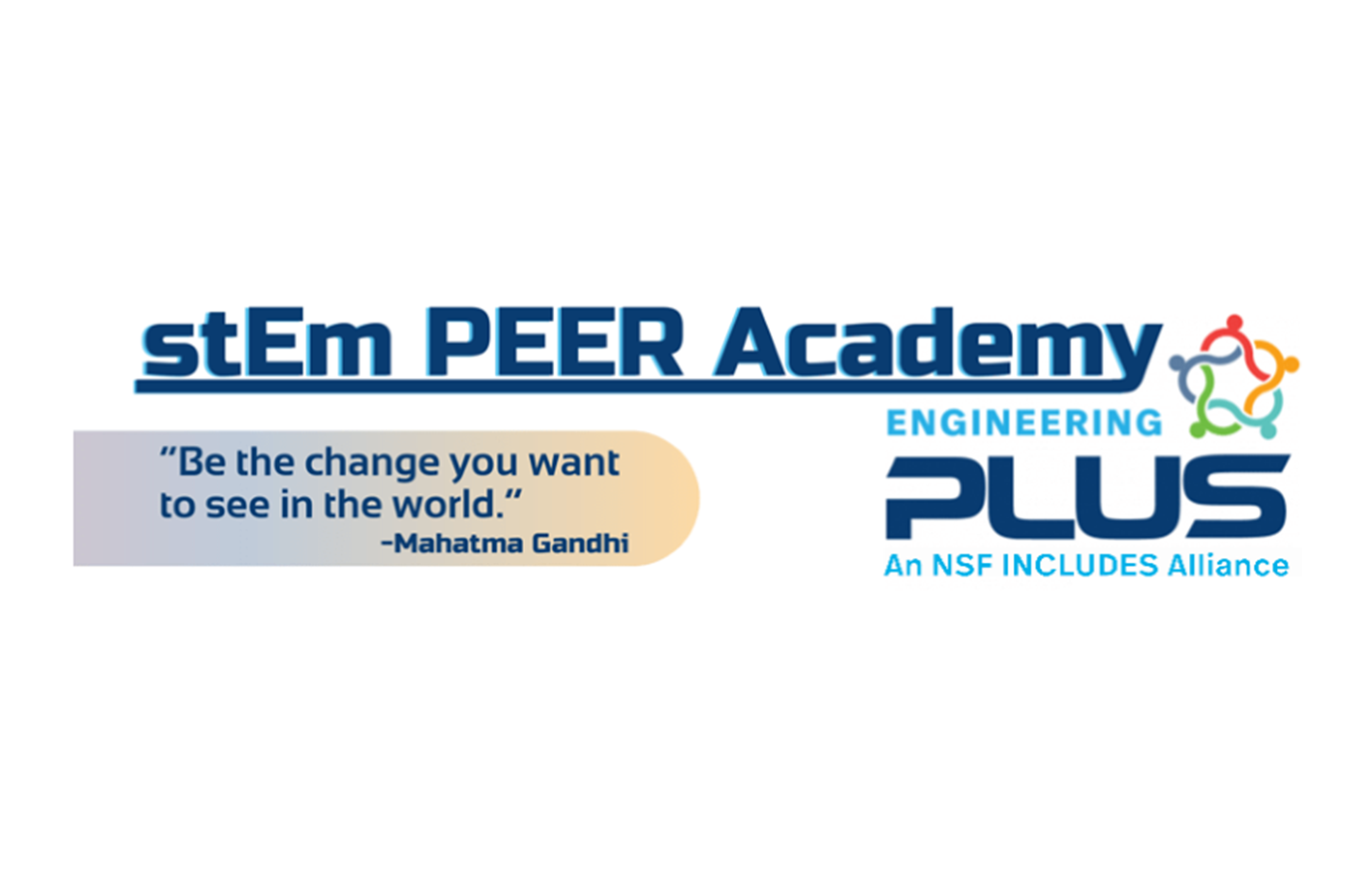 stEm PEER Academy Banner